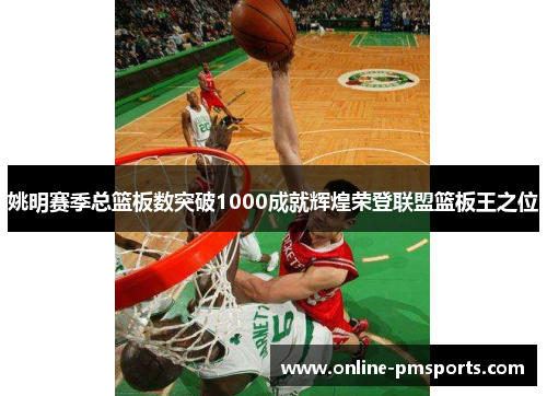 姚明赛季总篮板数突破1000成就辉煌荣登联盟篮板王之位