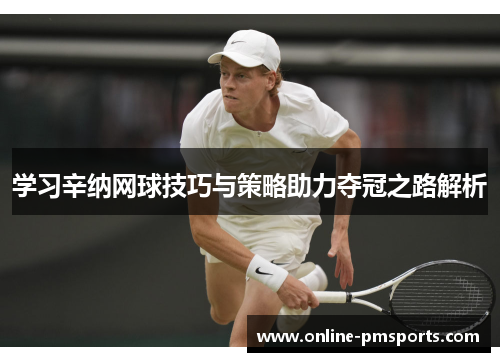 学习辛纳网球技巧与策略助力夺冠之路解析