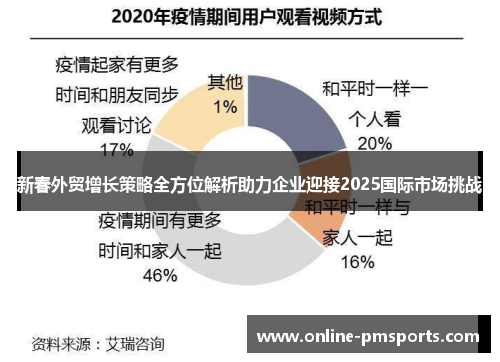 新春外贸增长策略全方位解析助力企业迎接2025国际市场挑战